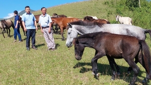 Điện Biên: Vó ngựa Phìn Hồ