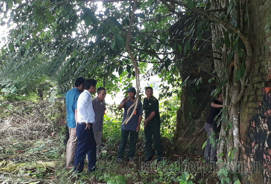 Điện Biên: Mường Nhé từng bước phát triển du lịch