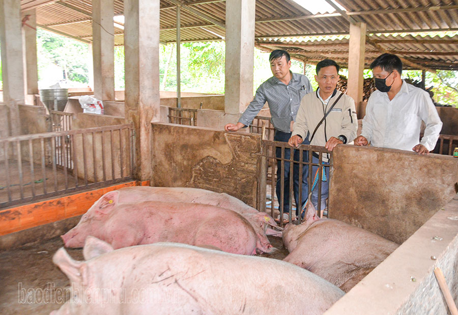 Điện Biên: Giảm nghèo có địa chỉ ở Nậm Pồ