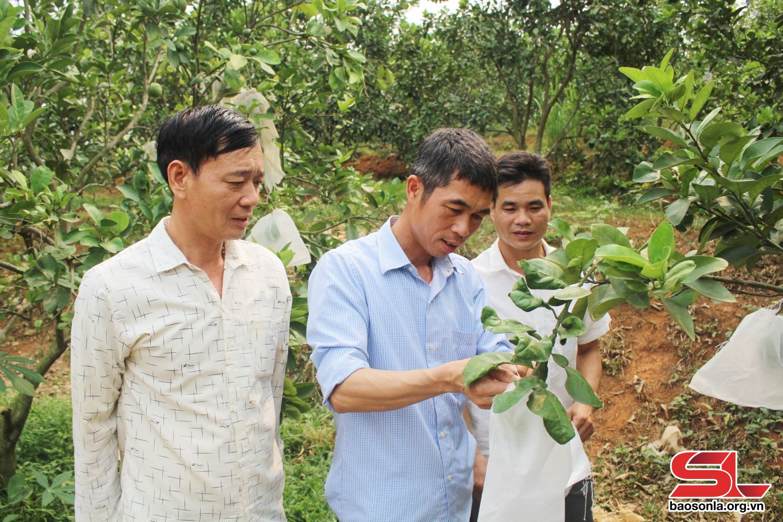Sơn La: Đổi thay ở xã vùng biên giới