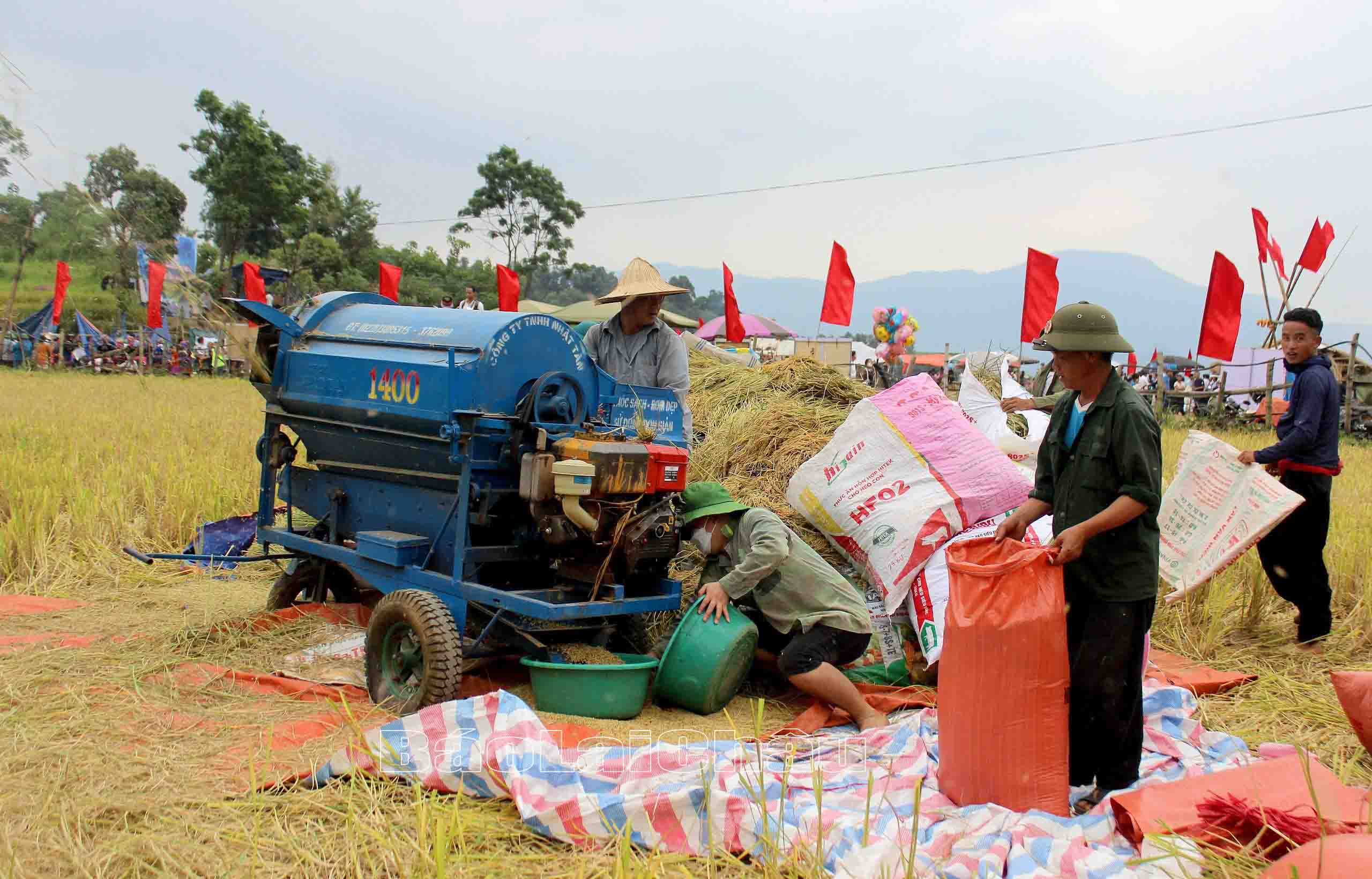 Lai Châu: “Làn gió mới” cho sản xuất nông nghiệp