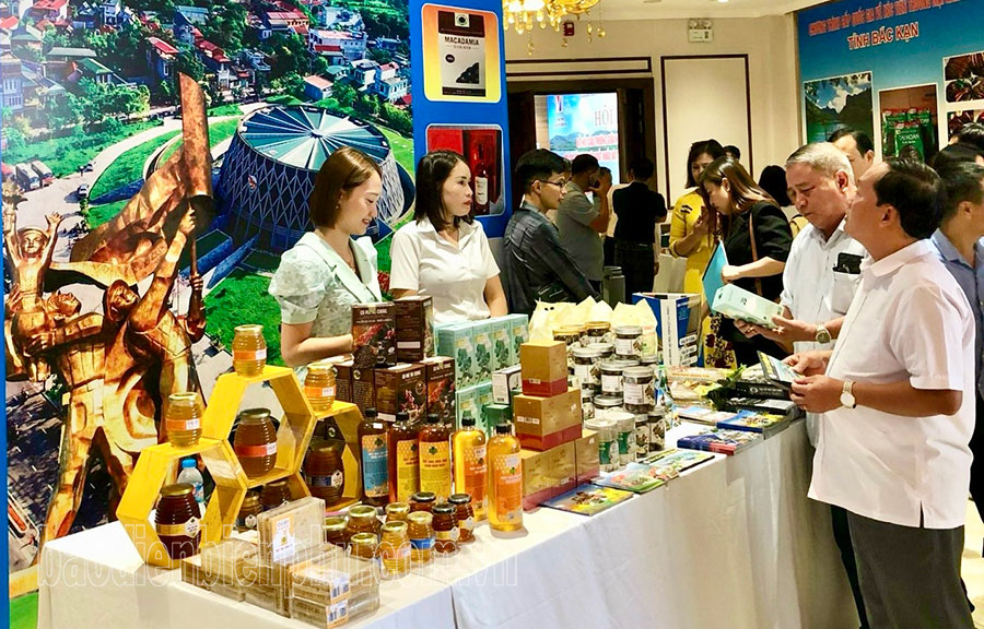 Điện Biên giới thiệu sản phẩm, kết nối giao thương tại Yên Bái