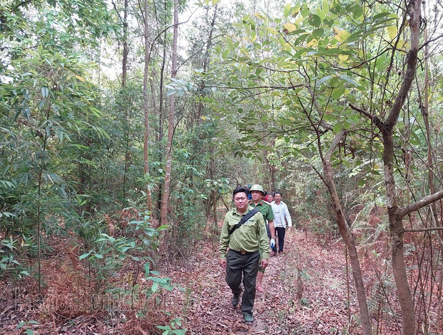 Điện Biên: Thiếu nhân lực quản lý, bảo vệ rừng