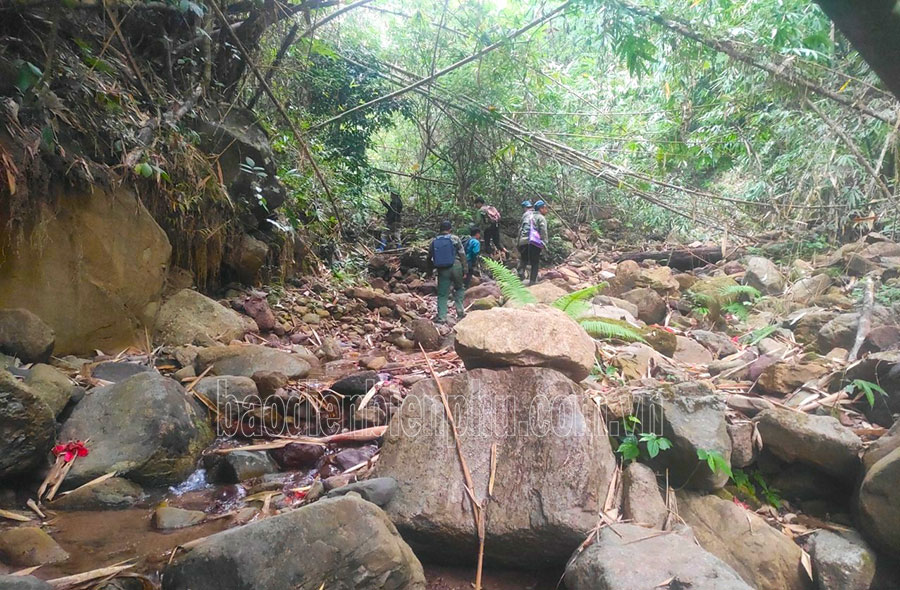 Điện Biên: Thiếu nhân lực quản lý, bảo vệ rừng