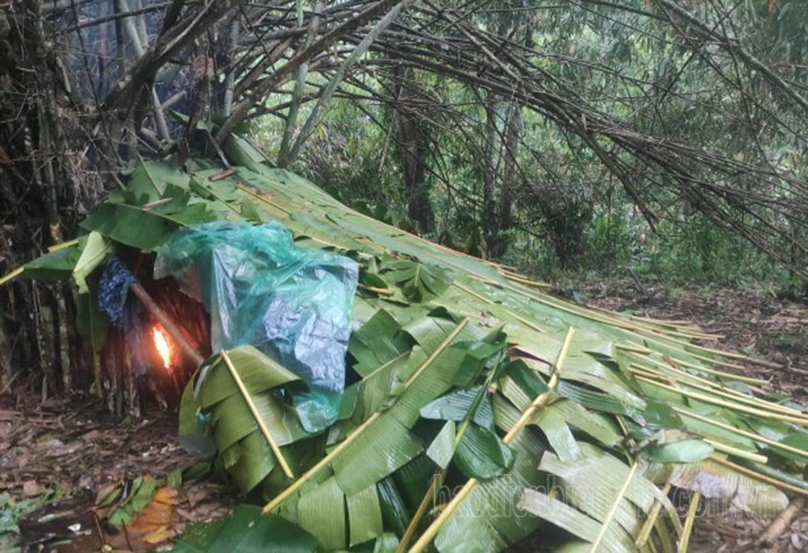 Điện Biên: Thiếu nhân lực quản lý, bảo vệ rừng