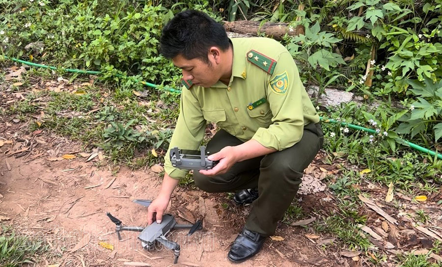 Điện Biên: Thiếu nhân lực quản lý, bảo vệ rừng