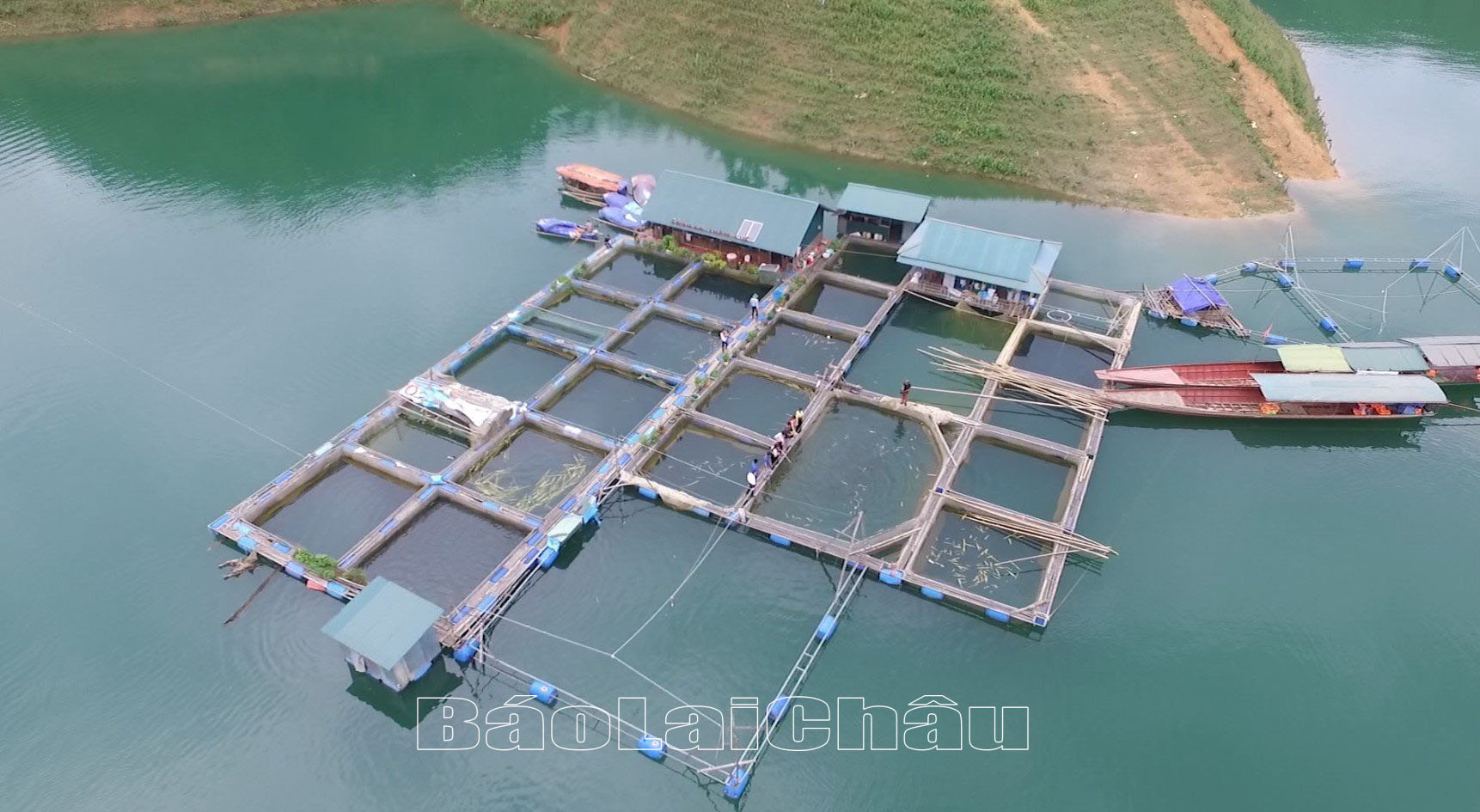 Lai Châu: Tạo “cú huých” tái cơ cấu nông nghiệp