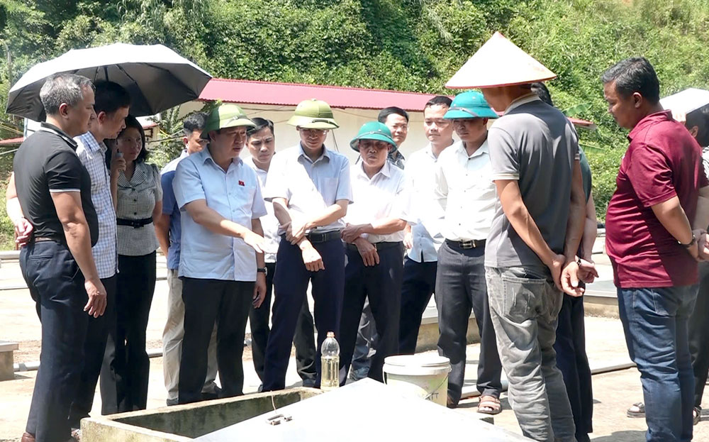 Yên Bái: Thị xã Nghĩa Lộ quan tâm bảo vệ môi trường trong chăn nuôi