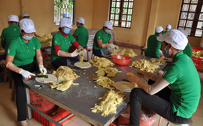 Yên Bái: Kinh tế vùng đồng bào dân tộc thiểu số phát triển rõ rệt