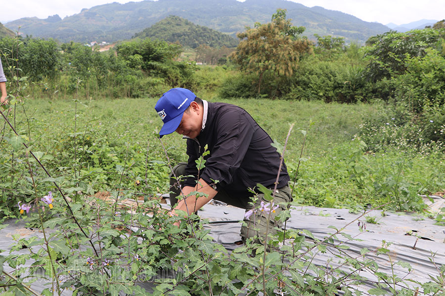 Điện Biên: Vẫn khó giải ngân vốn chương trình mục tiêu quốc gia