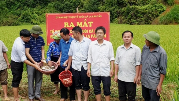 Yên Bái: Mù Cang Chải có 500 ha nuôi cá chép ruộng