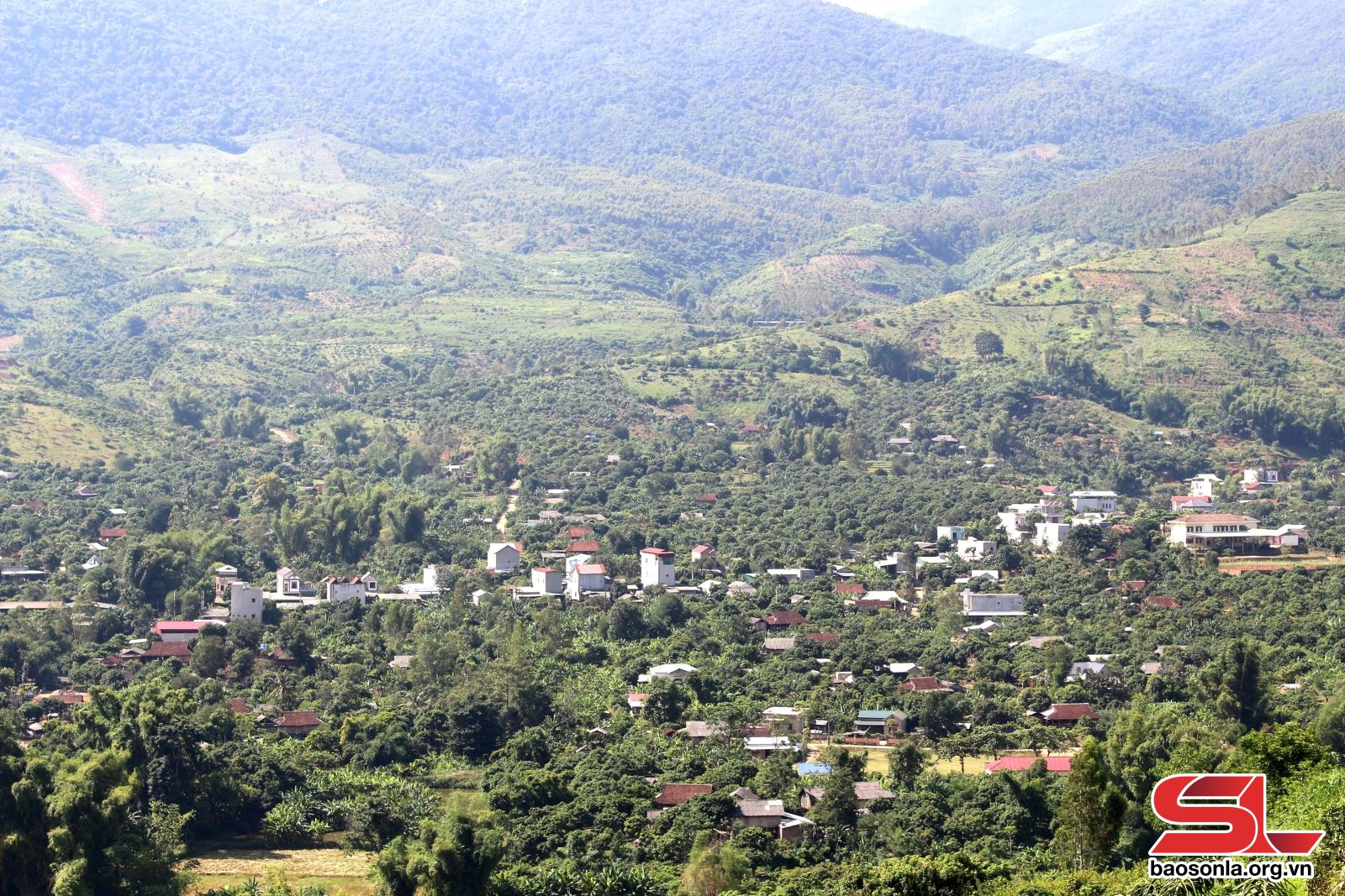 Sơn La: Liên kết sản xuất, phát triển bền vững Sơn La: Liên kết sản xuất, phát triển bền vững