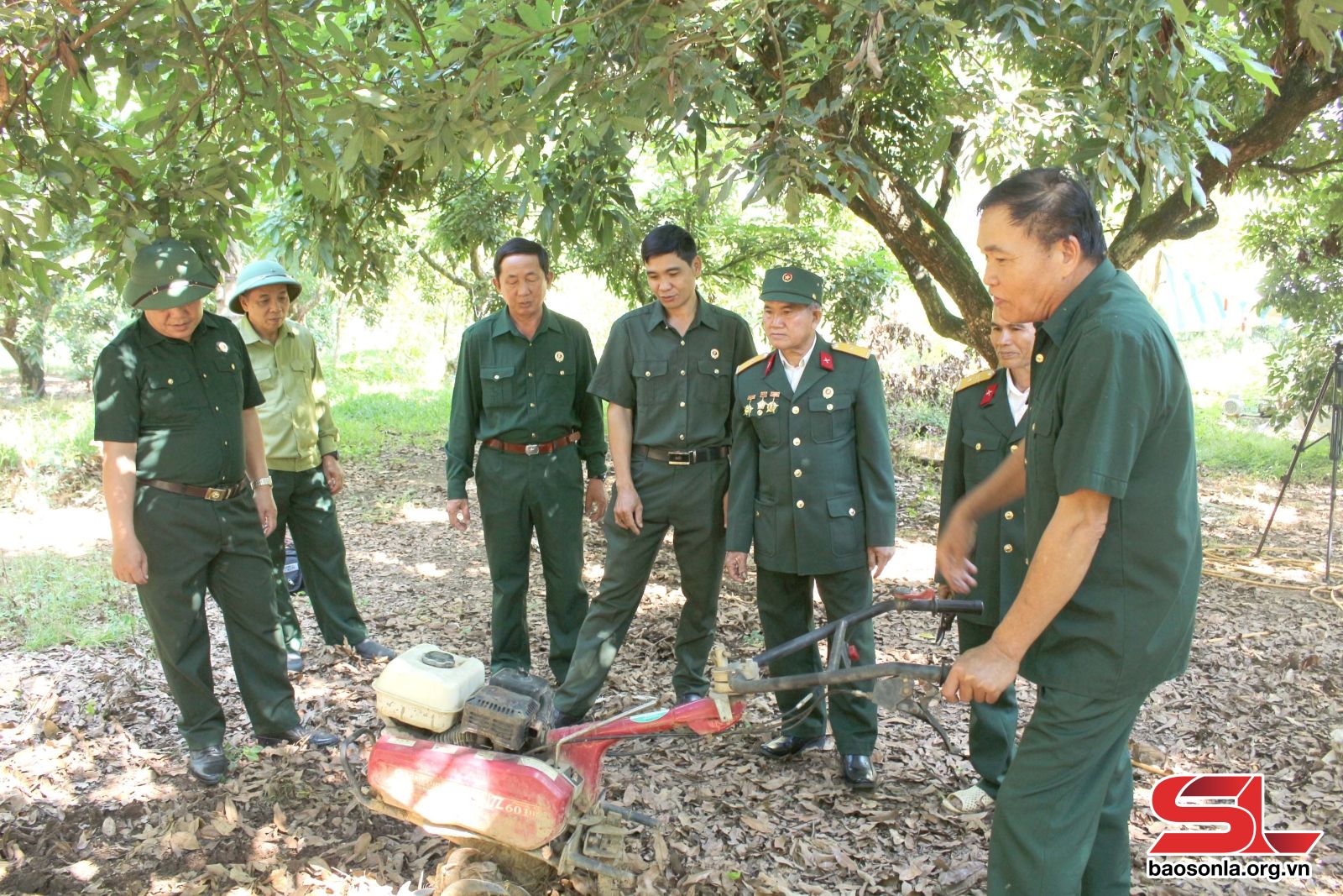 Sơn La: Liên kết sản xuất, phát triển bền vững Sơn La: Liên kết sản xuất, phát triển bền vững