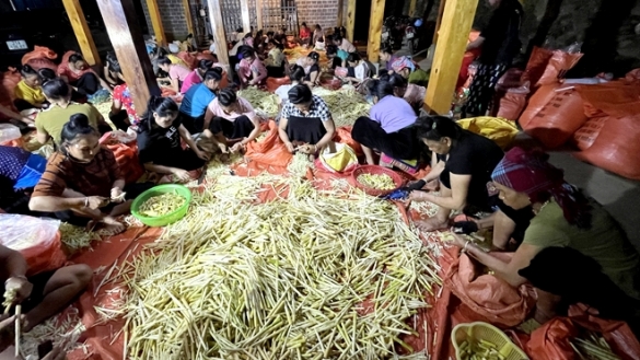 Yên Bái: Trạm Tấu phát triển sản phẩm OCOP gắn với thế mạnh đặc trưng