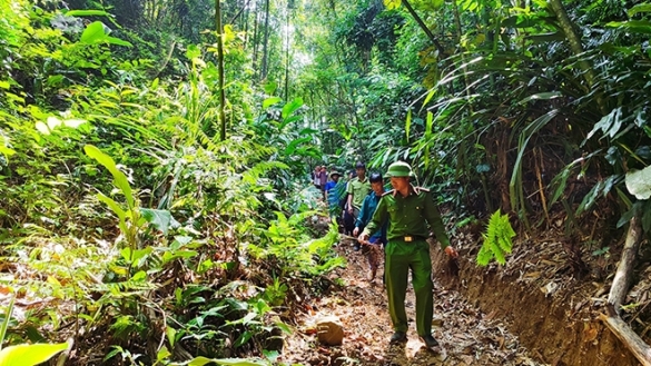 Yên Bái: Văn Yên giữ màu xanh cho rừng