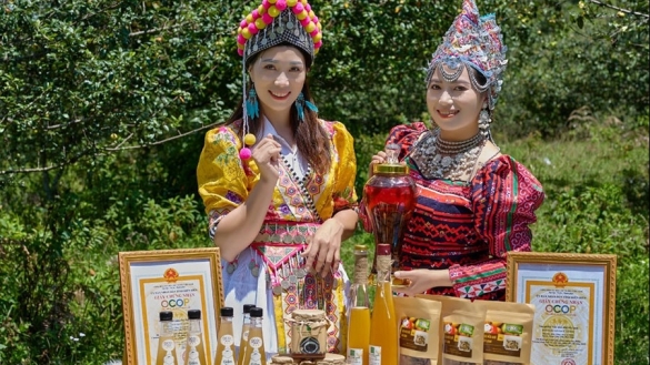 Điện Biên: Phụ nữ với các dự án khởi nghiệp