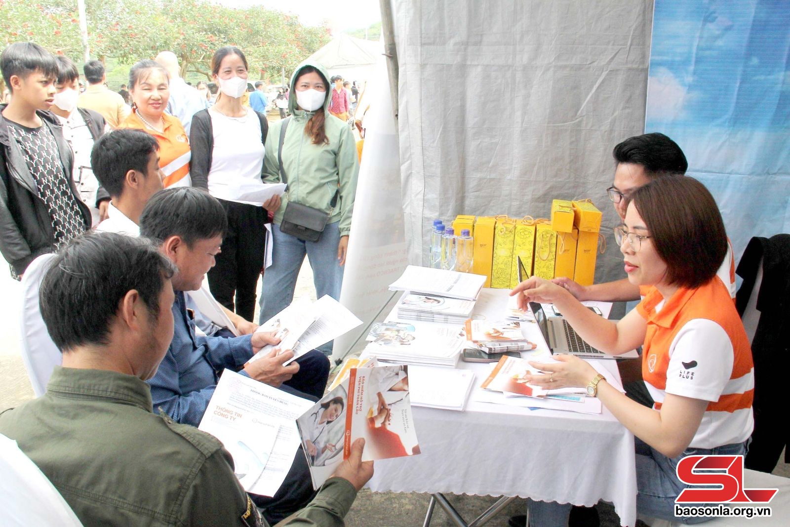 Sơn La: Vân Hồ giải quyết việc làm cho lao động nông thôn Sơn La: Vân Hồ giải quyết việc làm cho lao động nông thôn