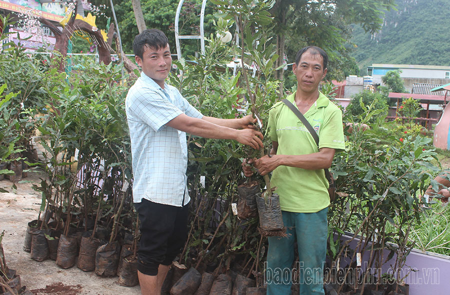 Điện Biên: Tuần Giáo thực hiện hiệu quả công tác an sinh xã hội Điện Biên: Tuần Giáo thực hiện hiệu quả công tác an sinh xã hội
