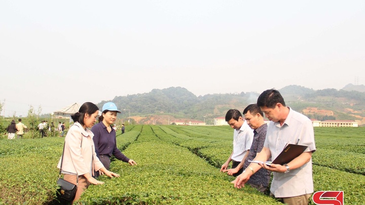 Chuyển giao khoa học kỹ thuật cho nông dân