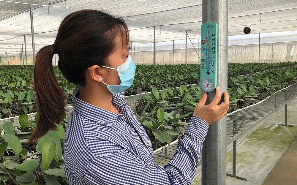 Yên Bái phát triển nông nghiệp theo hướng công nghệ cao