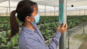 Yên Bái phát triển nông nghiệp theo hướng công nghệ cao