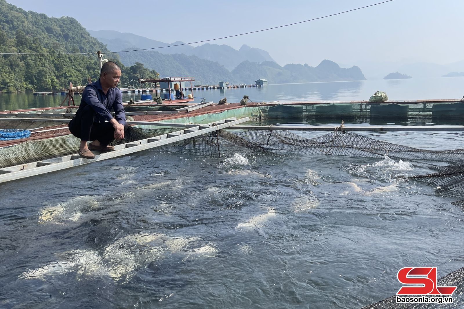 Sơn La: Giám đốc HTX dám nghĩ, dám làm