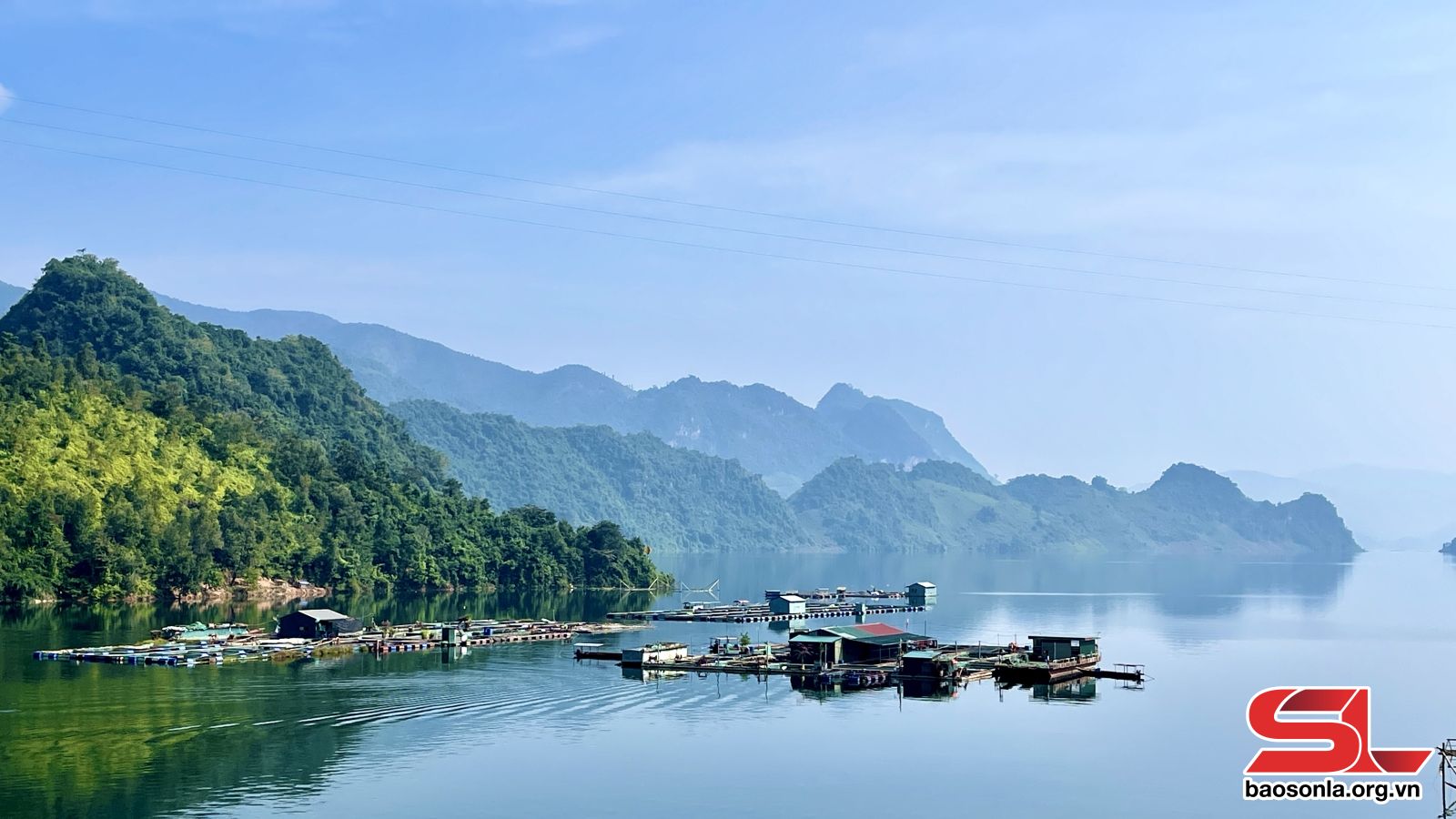 Sơn La: Giám đốc HTX dám nghĩ, dám làm