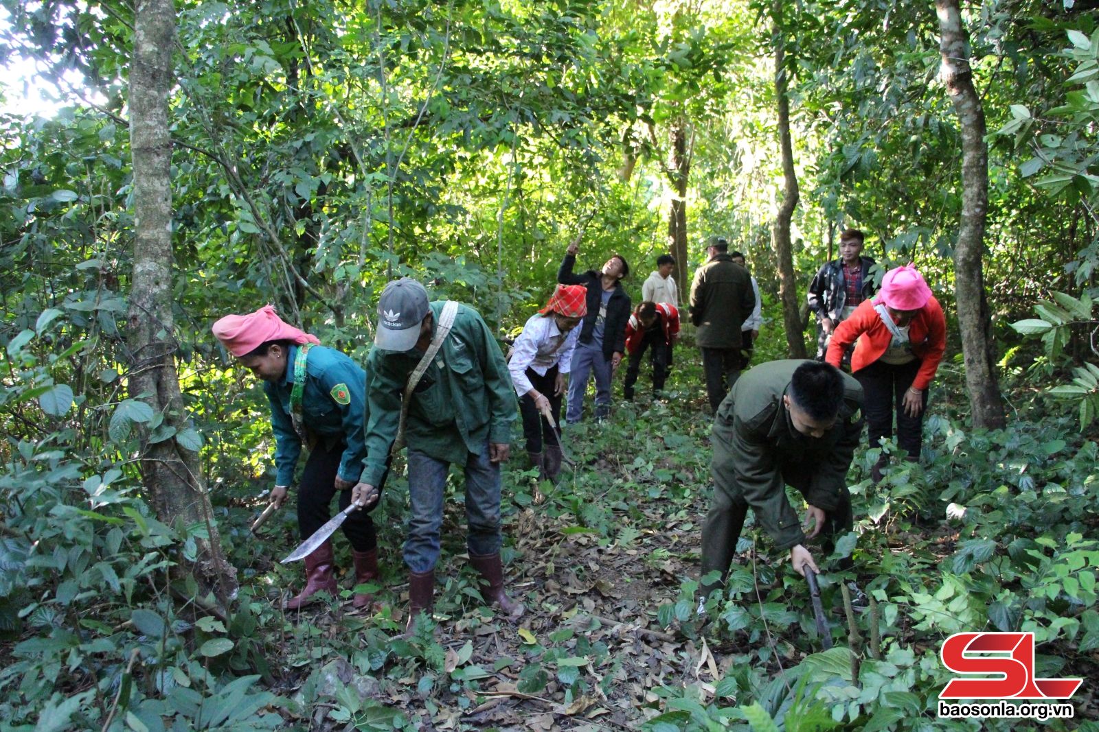 Sơn La: Phát triển thủy điện gắn với bảo vệ rừng Sơn La: Phát triển thủy điện gắn với bảo vệ rừng