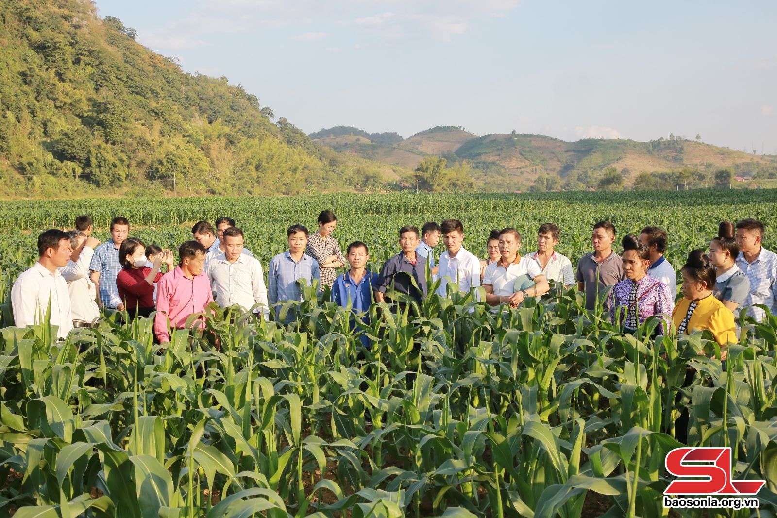 Tham quan các mô hình phát triển kinh tế tại huyện Mai Sơn Tham quan các mô hình phát triển kinh tế tại huyện Mai Sơn