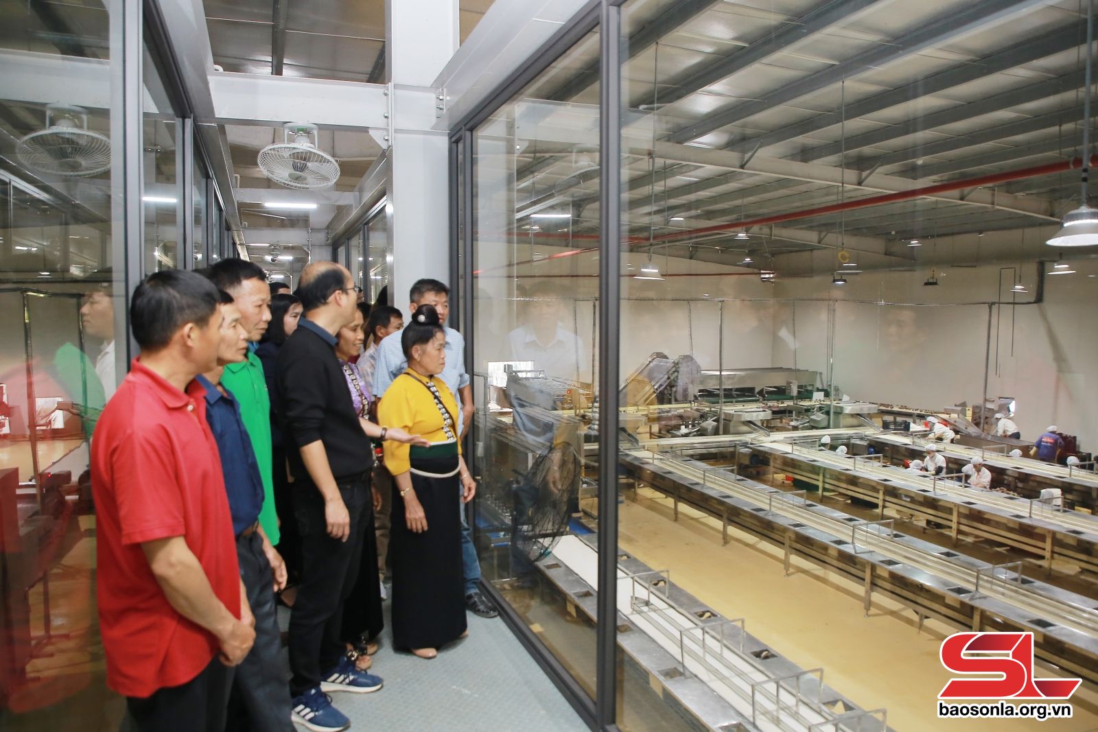 Tham quan các mô hình phát triển kinh tế tại huyện Mai Sơn Tham quan các mô hình phát triển kinh tế tại huyện Mai Sơn