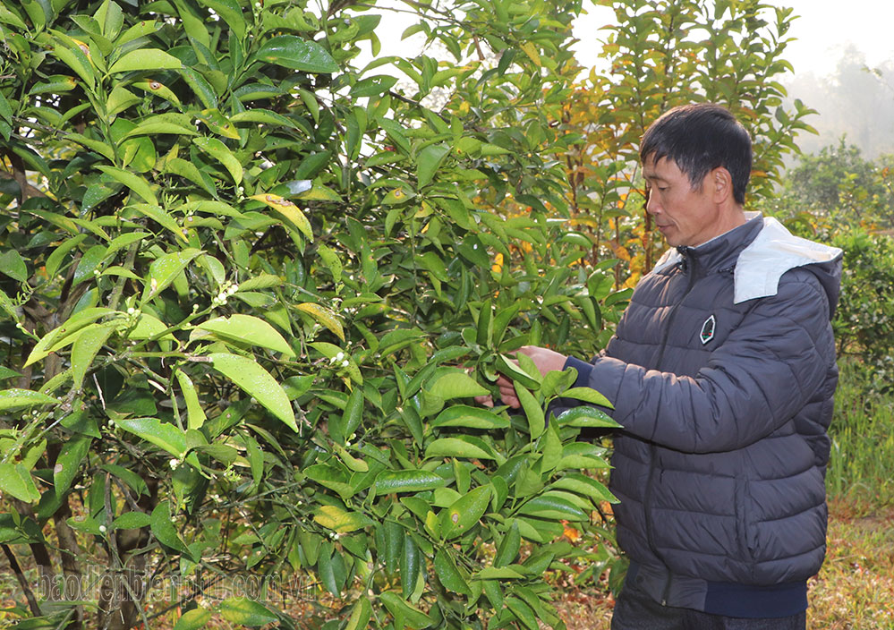 Điện Biên: Thu hút đầu tư chưa như kỳ vọng