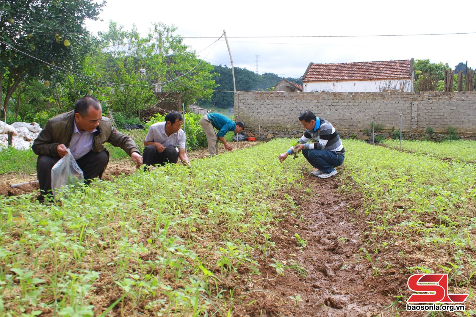 Sơn La: Mộc Châu không để ai bị bỏ lại phía sau