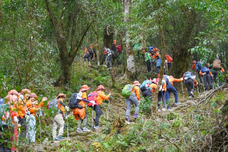 Lào Cai: Du khách leo bộ chinh phục đỉnh Fansipan tăng hơn 200% so với cùng kỳ năm trước