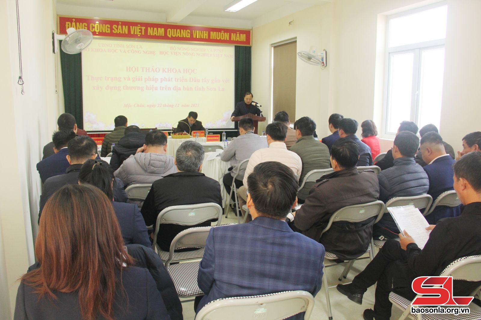 Sơn La: Xây dựng thương hiệu &quot;Dâu tây Sơn La&quot;