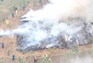 Điện Biên: Bảo vệ rừng từ ý thức, trách nhiệm mỗi người dân