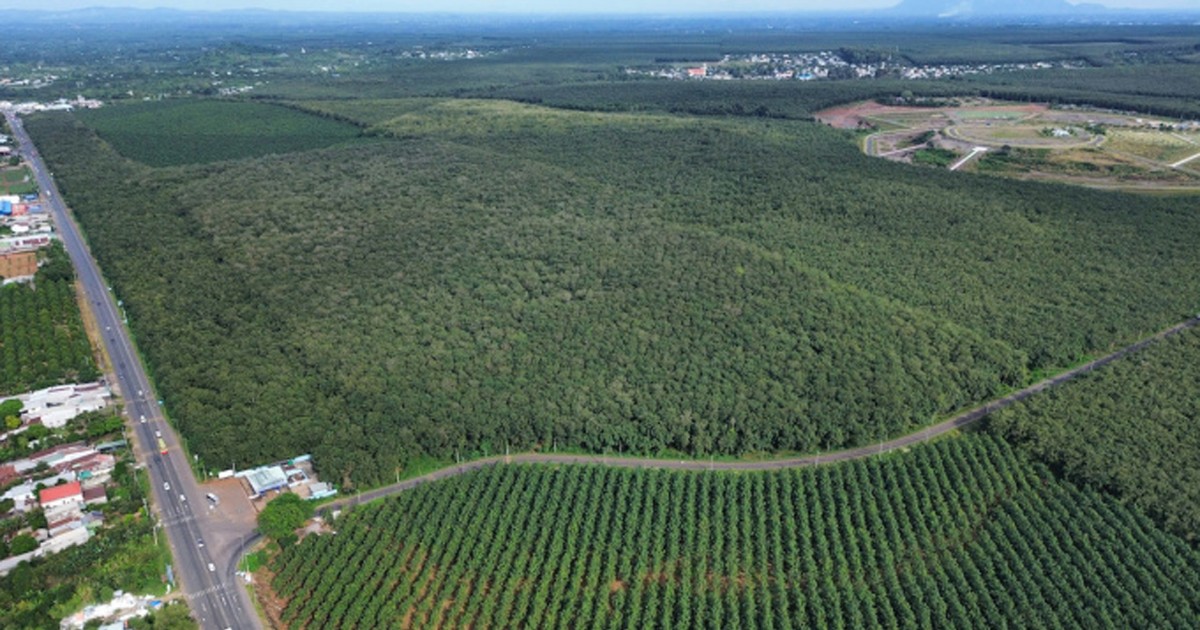 Đồng Nai: Sẽ đấu giá khu đất vàng 282 ha gần sân bay Long Thành