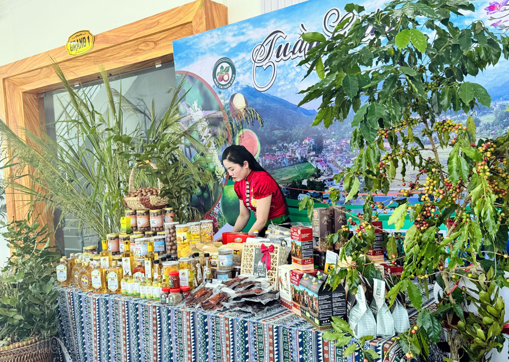 Điện Biên: Hỗ trợ, kết nối tiêu thụ nông sản đặc sản Điện Biên: Hỗ trợ, kết nối tiêu thụ nông sản đặc sản