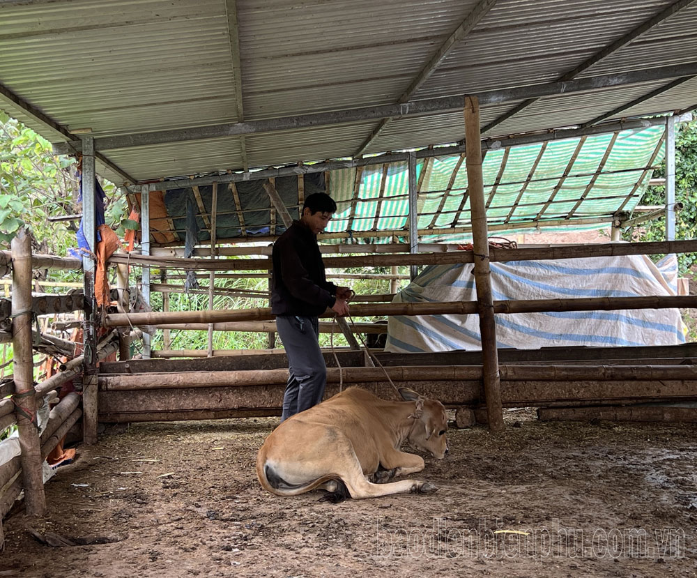 Điện Biên: Khai thác tiềm năng, phát triển kinh tế ở xã biên giới Sín Thầu