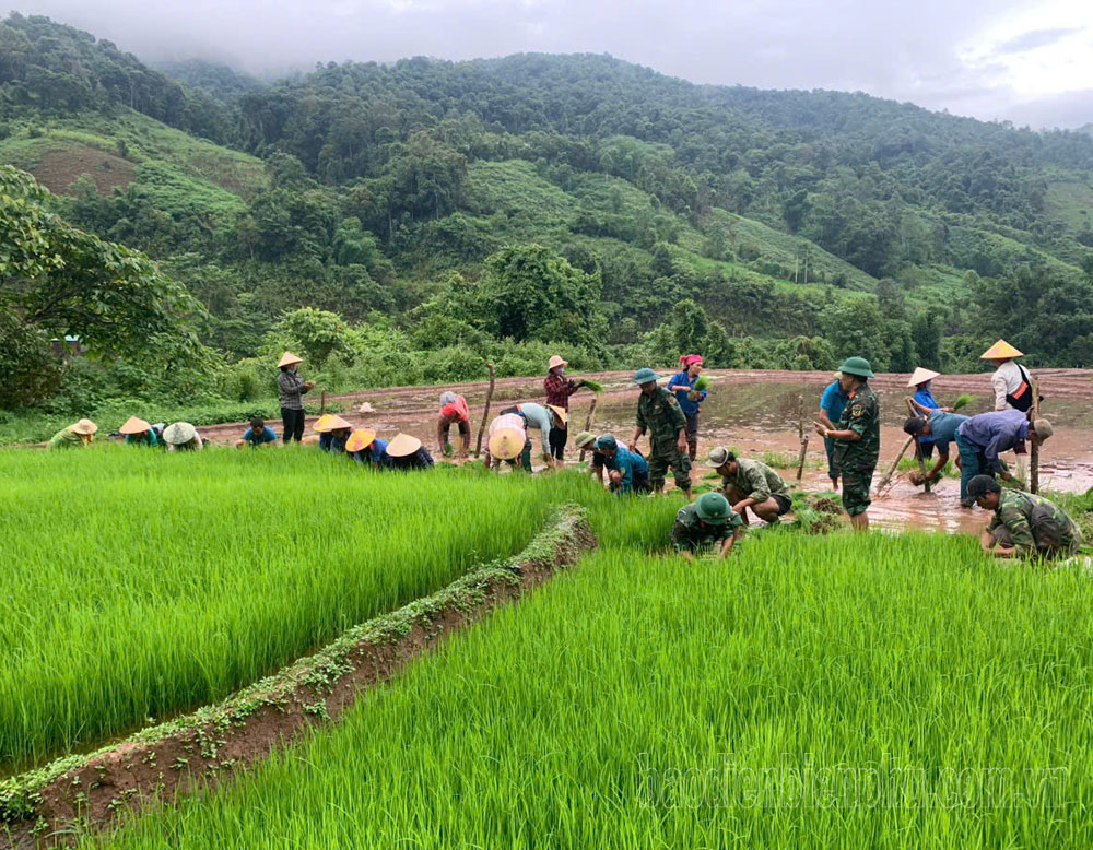 Điện Biên: Khai thác tiềm năng, phát triển kinh tế ở xã biên giới Sín Thầu