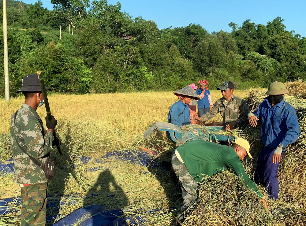 Điện Biên: Khai thác tiềm năng, phát triển kinh tế ở xã biên giới Sín Thầu