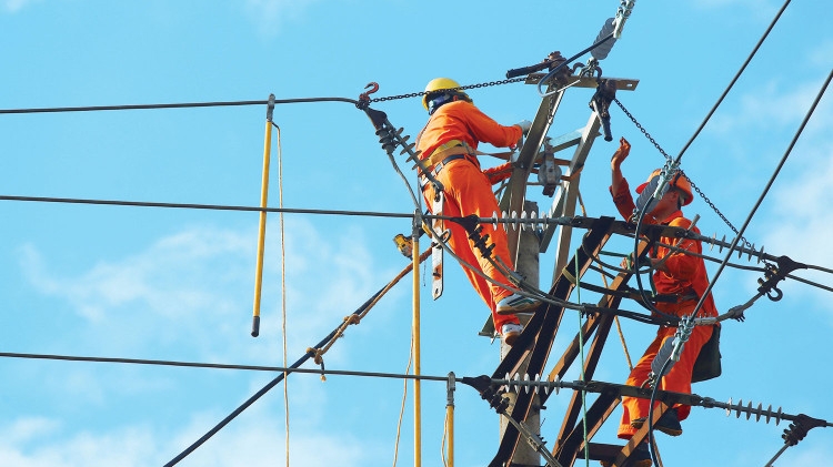 Hai gói thầu tại Công ty Điện lực Quảng Ninh: Bị cấm thầu 5 năm, 2 nhà thầu phản ứng