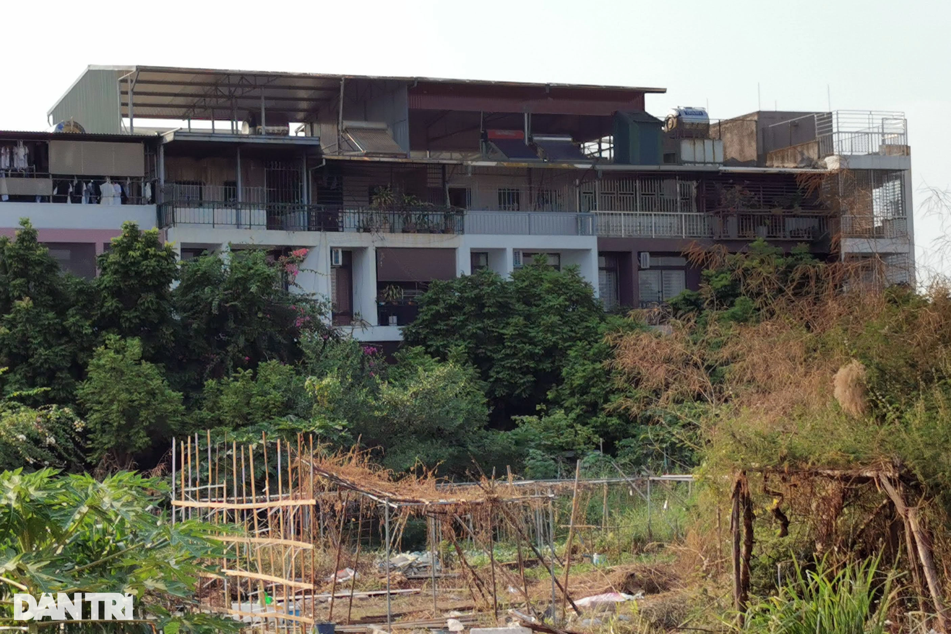 Chuồng cọp mọc lôm nhôm trong dự án được quảng cáo hiện đại bậc nhất nam Thủ đô - 10