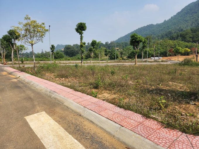 Huyện Đông Anh đấu giá đất thu gần 1.800 tỷ đồng, cao nhất Hà Nội - 1