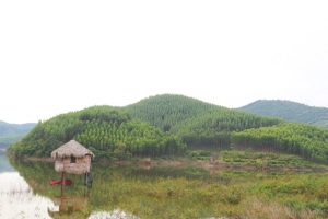 &apos;Siêu&apos; dự án nghĩa trang ở Bắc Giang: Nguy cơ xóa sổ hàng trăm ha rừng