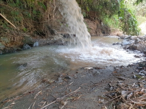 Yên Bái: Cần làm rõ thông tin Công ty Đại Phát xả thải ra suối