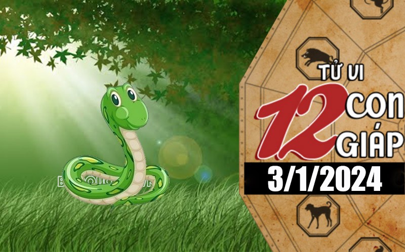 Tử vi hôm nay, xem tử vi 12 con giáp hôm nay ngày 3/1/2024: Tuổi Tỵ thu nhập tăng cao Tử vi hôm nay, xem tử vi 12 con giáp hôm nay ngày 3/1/2024: Tuổi Tỵ thu nhập tăng cao