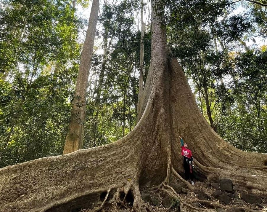 Hoa hậu Du lịch sinh thái quốc tế ghé thăm Vườn quốc gia Cát Tiên