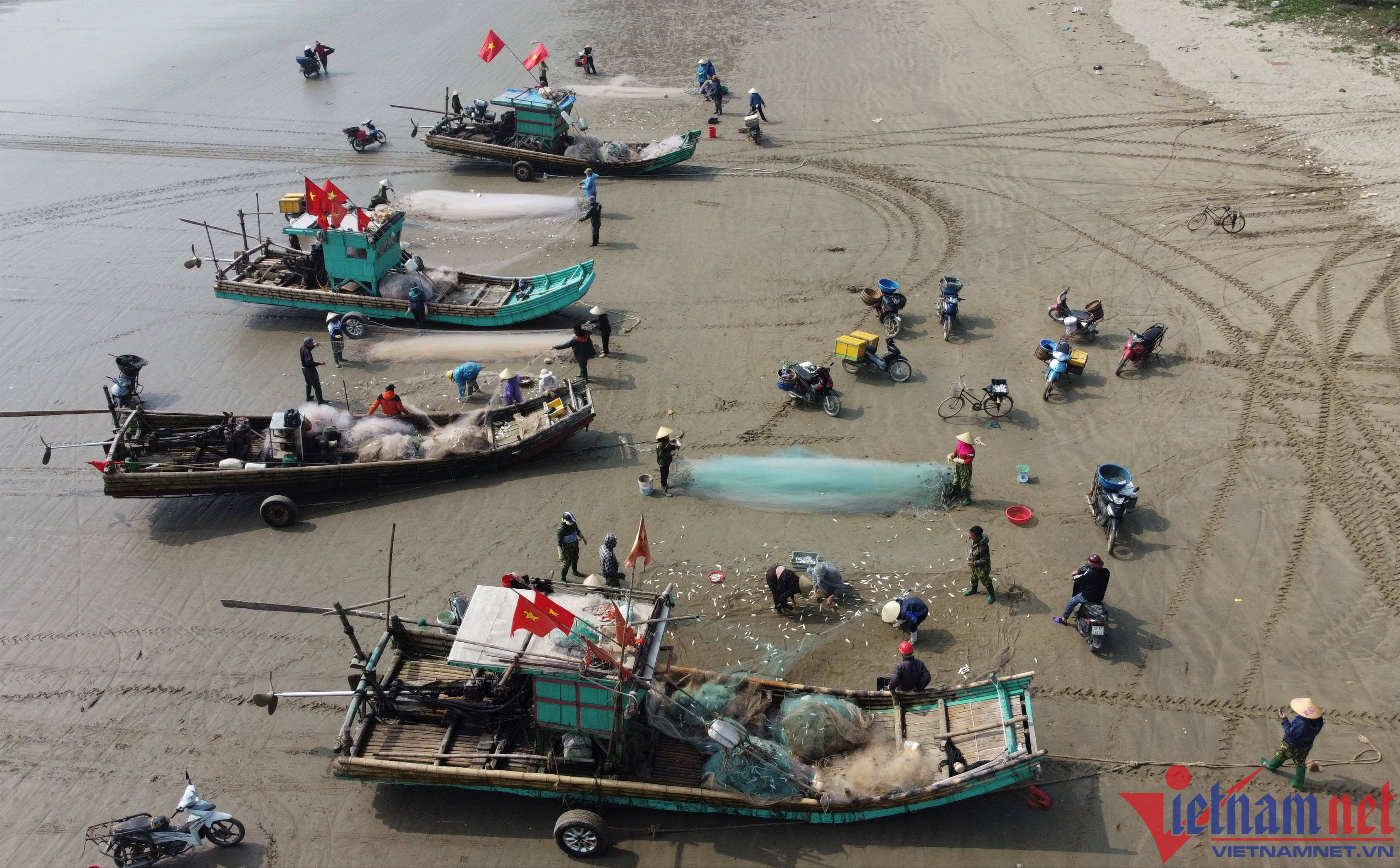 Cá trích vào mùa, ngư dân Thanh Hóa kiếm tiền triệu mỗi ngày