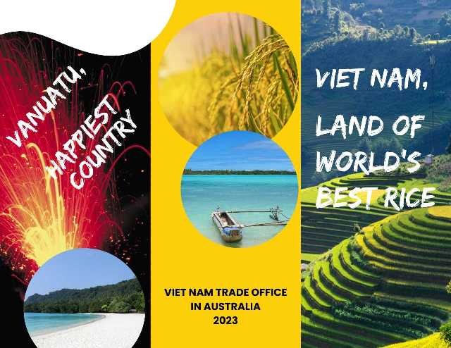 Kinh tế vĩ mô - Xuất khẩu 10 container gạo ST25 sang đảo quốc Vanuatu