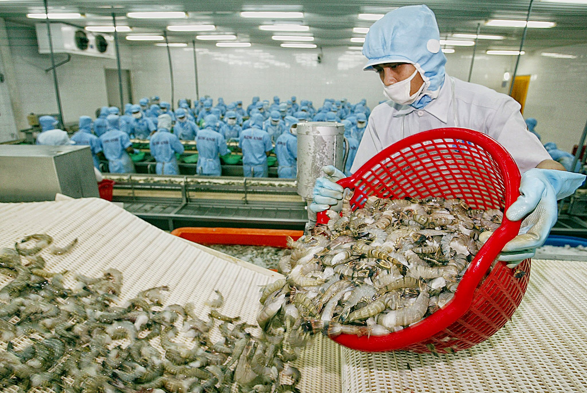 Australia là thị trường xuất khẩu thủy sản lớn thứ 6 của Việt Nam